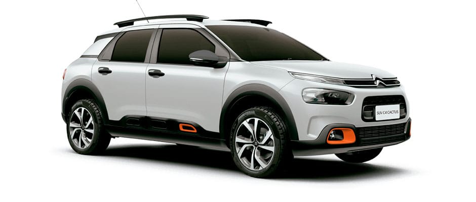 C4 CACTUS